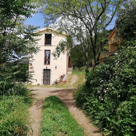 Ferula Romantica Mansarda Tra Fiumi E Montagne Sardegna Seùlo Buitenkant foto