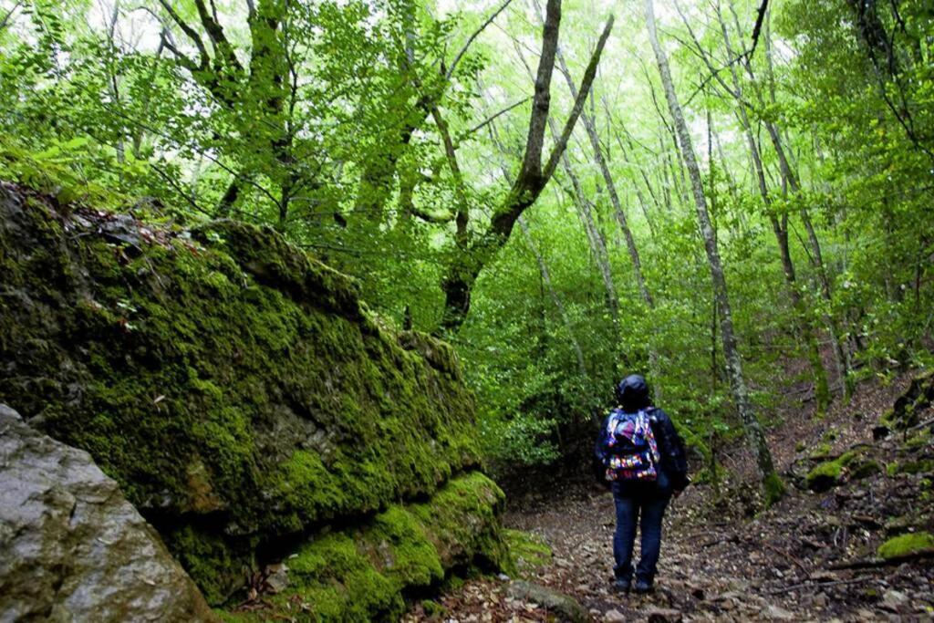 Ferula Romantica Mansarda Tra Fiumi E Montagne Sardegna Seùlo Buitenkant foto