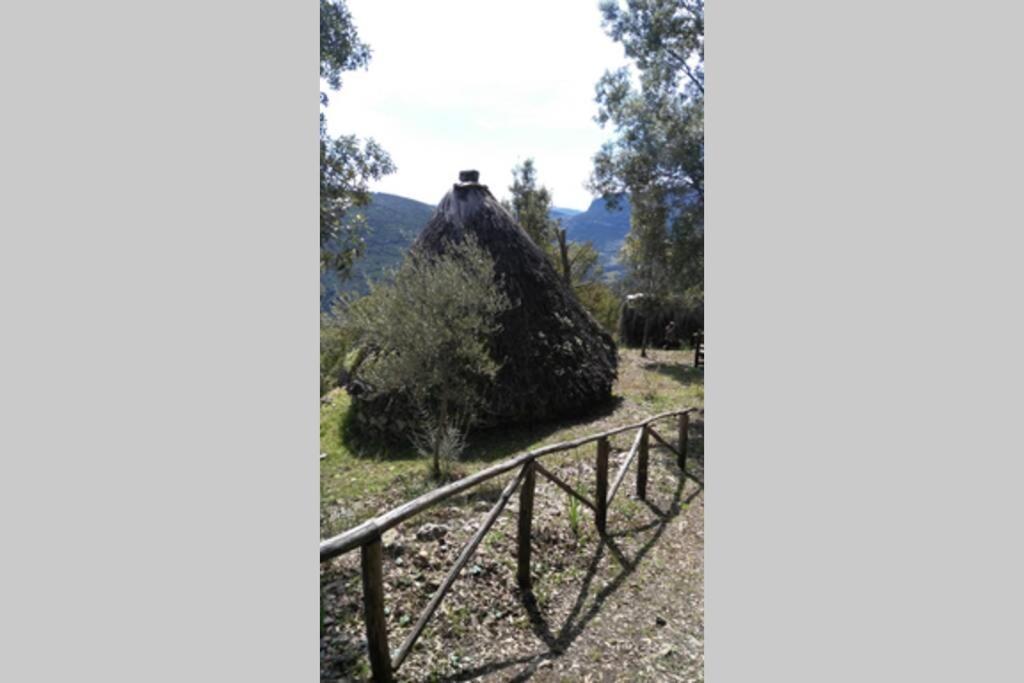 Ferula Romantica Mansarda Tra Fiumi E Montagne Sardegna Seùlo Buitenkant foto