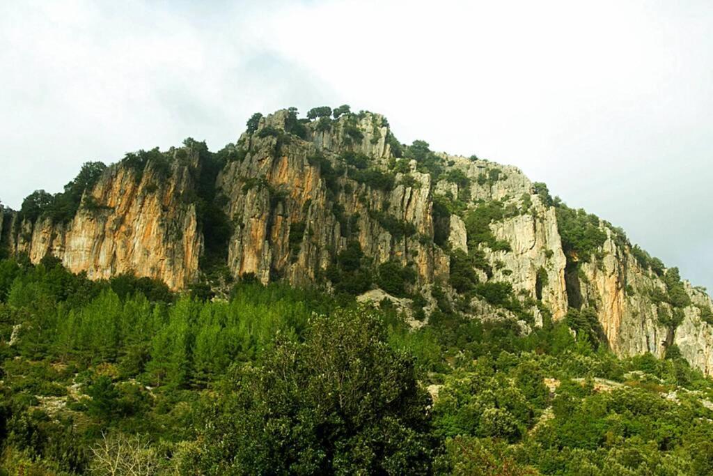 Ferula Romantica Mansarda Tra Fiumi E Montagne Sardegna Seùlo Buitenkant foto