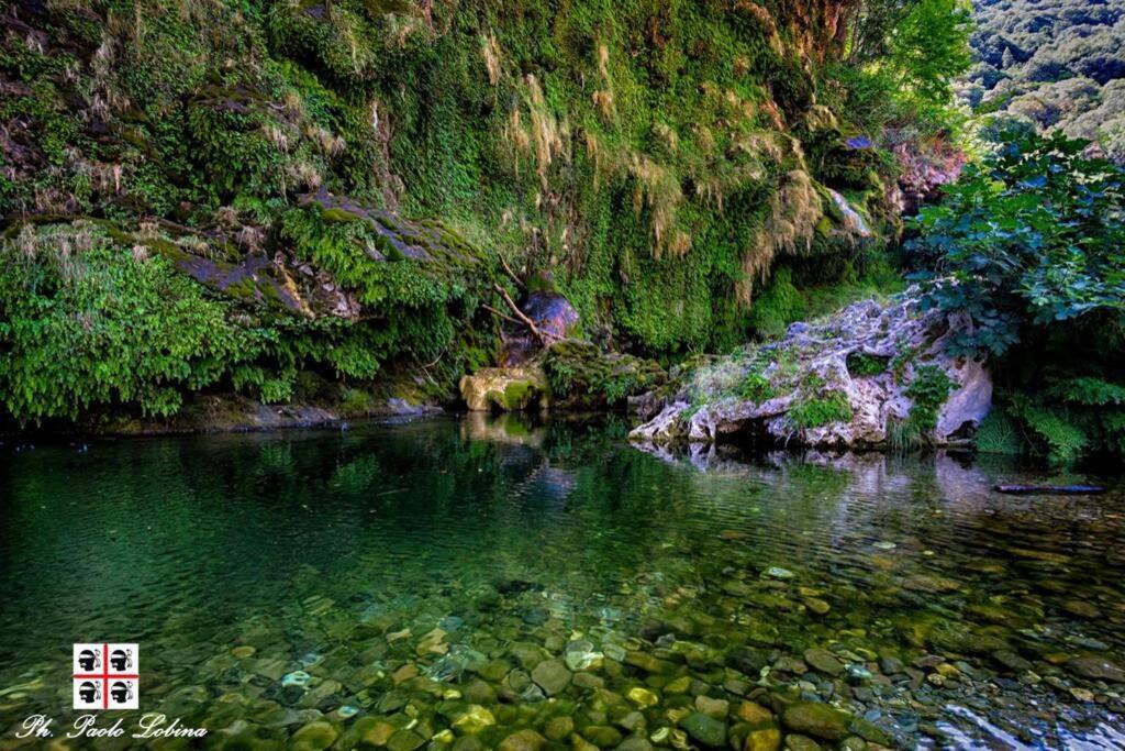 Ferula Romantica Mansarda Tra Fiumi E Montagne Sardegna Seùlo Buitenkant foto