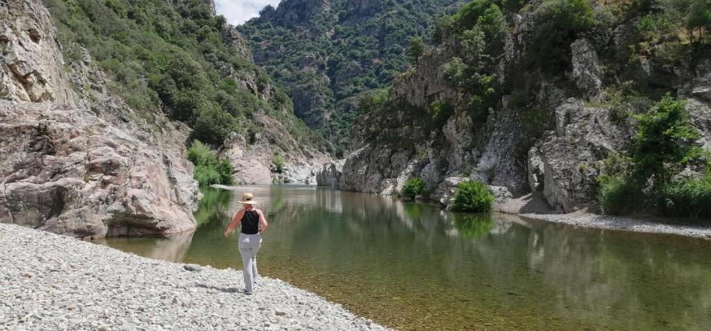 Ferula Romantica Mansarda Tra Fiumi E Montagne Sardegna Seùlo Buitenkant foto